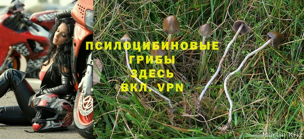 первитин Протвино